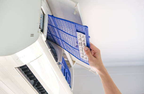 Best Air Duct Mold Removal  in Berkeley, CA